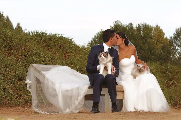 postboda10