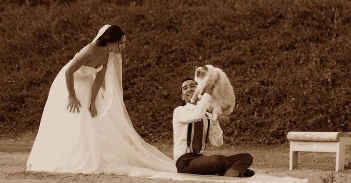 postboda11
