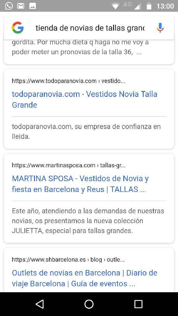  Tiendas de tallas grandes - 1