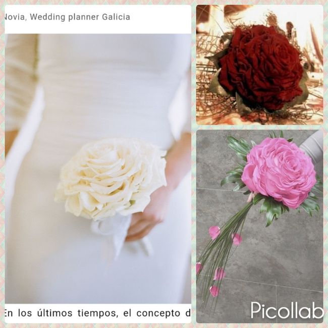 Ejemplo de rosmelia