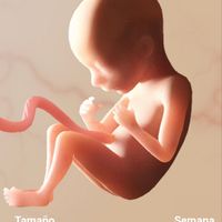 Futuras mamás Abril 2023 (actualizado) - 1