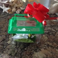 la pecera para los peques