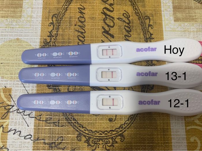 Buscadoras Enero 2021 🌼💞🤰🏼 1