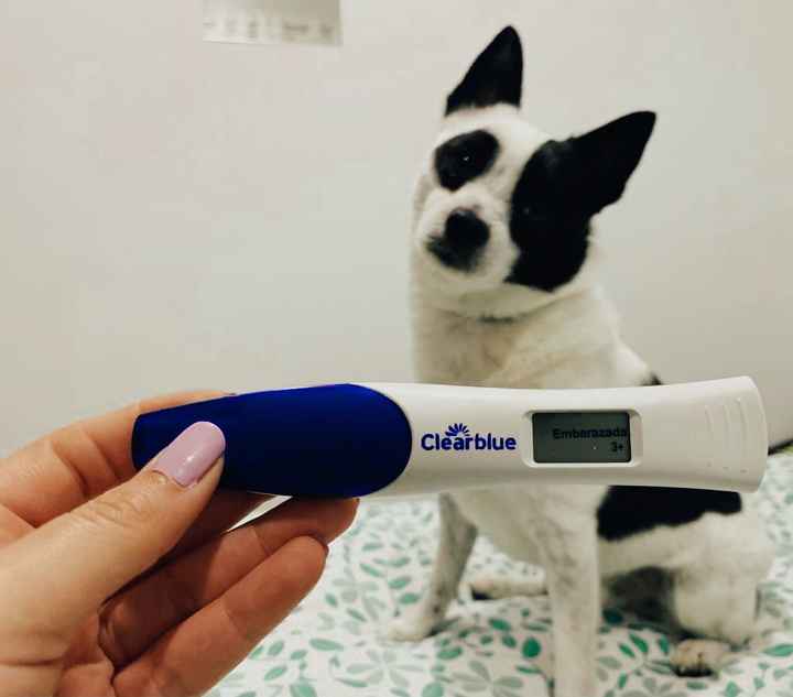 Buscadoras Marzo 2021 💪💘👶🏻 - 1