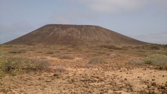 Isla de lobos 