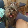 Mariam