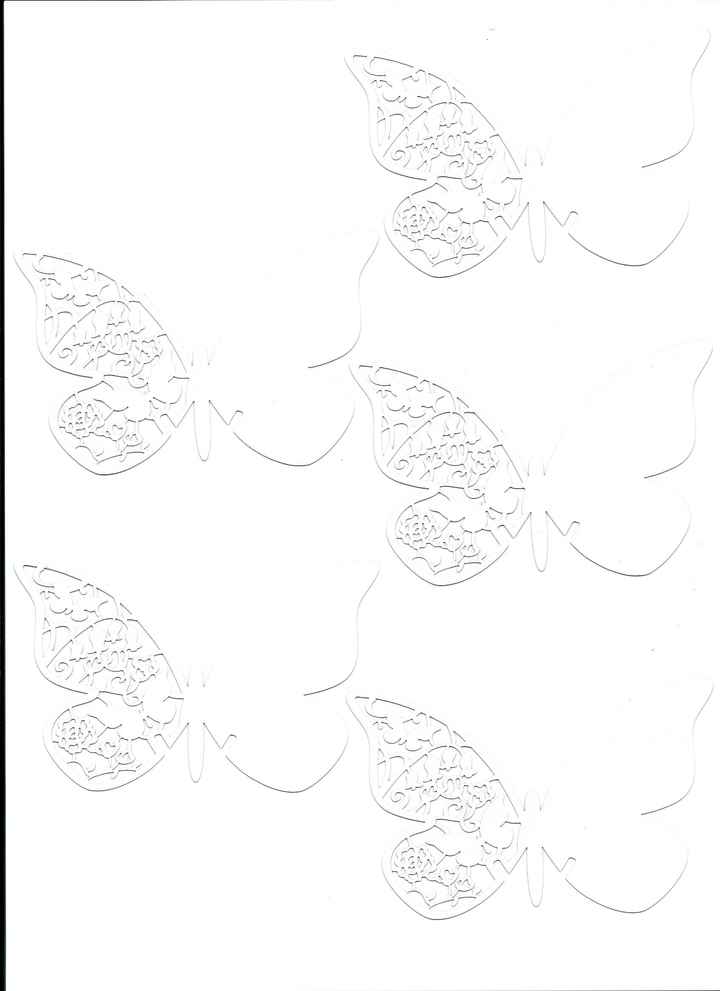 mariposas escaneadas