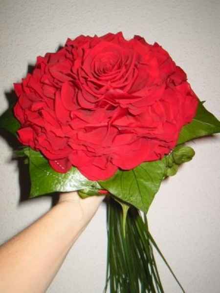 me encantaria esta flor!!
