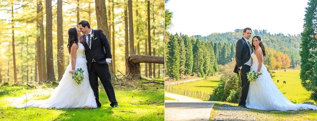 Postboda en el Gorbea 7