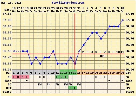 11dpo