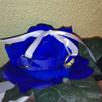Mi porta alianzas!!!! - 1