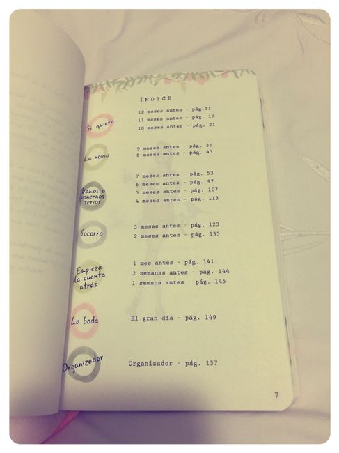 Diario de la novia - 2