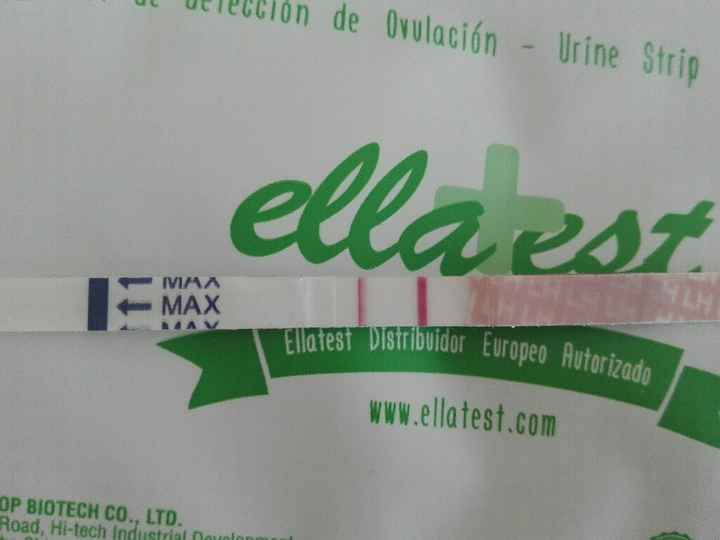 Buscadoras de enero 2019 - 1