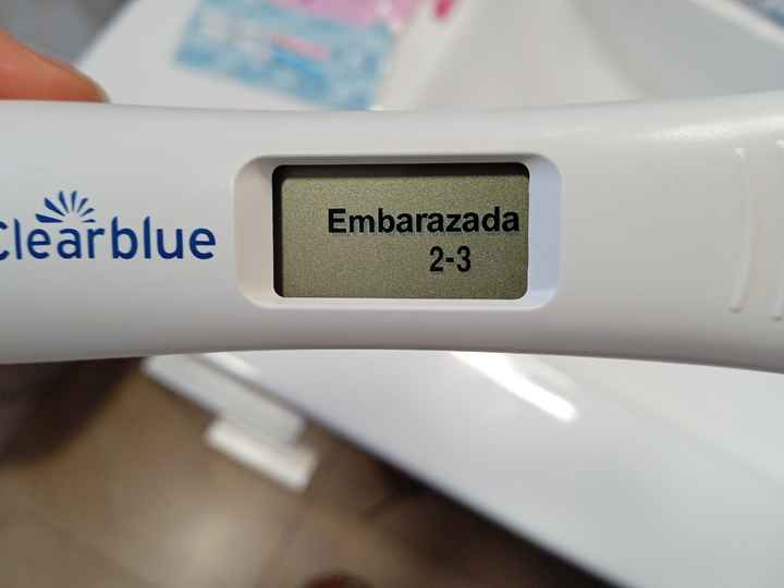 Mamás de Abril 2026 - 1
