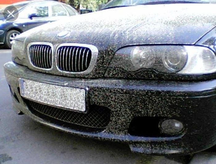 ¿Cuánto te ❤ este coche? - 2