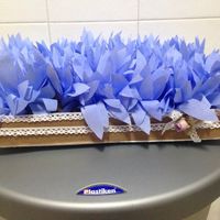 últimos preparativos - 1