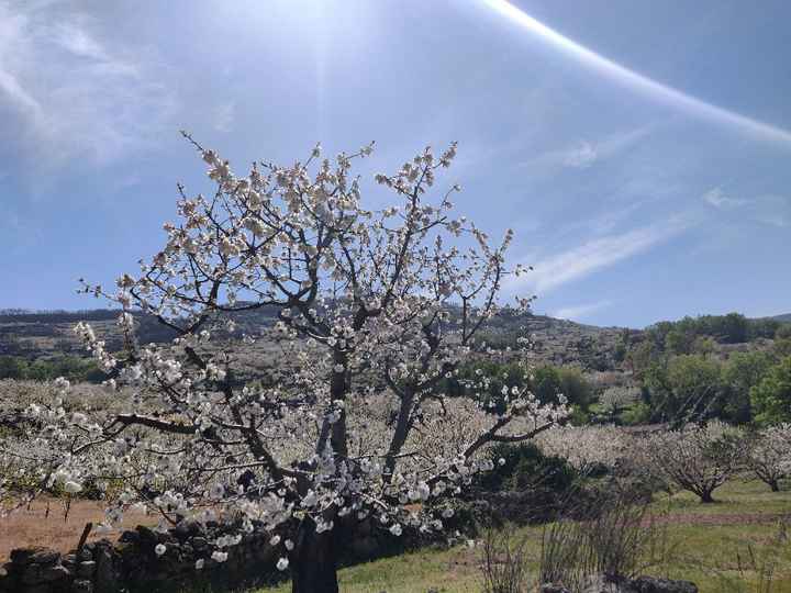 Destino España: compartamos fotos bonitas - 4