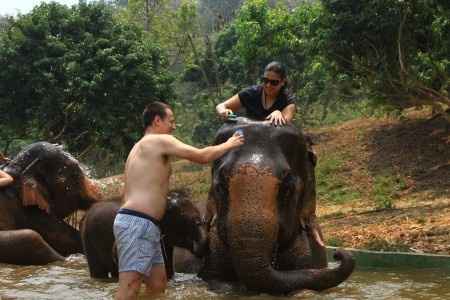 Lavando a la elefanta