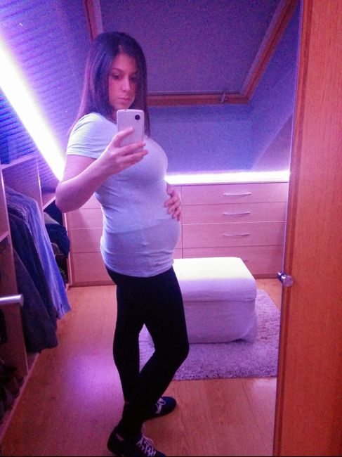 Semana 23 1