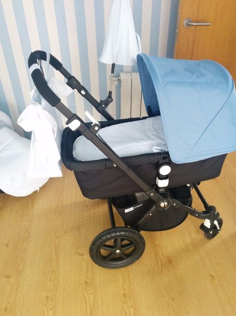 Bugaboo1