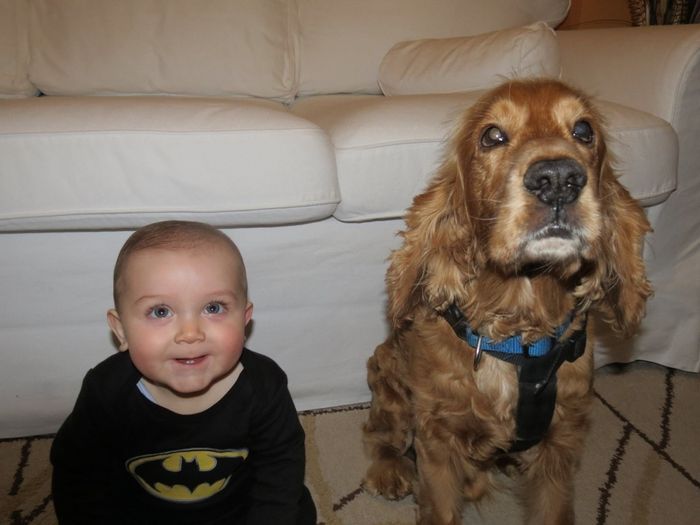 Batman y Robin