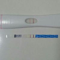 Buscadoras de sueños y milagros: IA, FIV, ICSI (Reproducción Asistida) - 1
