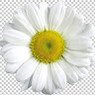 Itziar