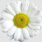 Itziar