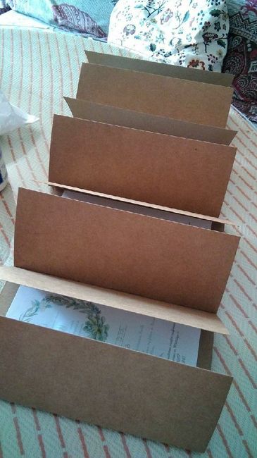  Mañana llegan mis invitaciones de Vistaprint - 2
