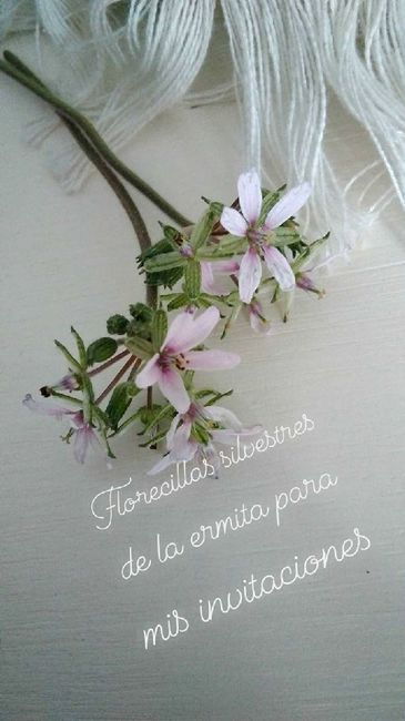 Mis invitaciones al fin - 2