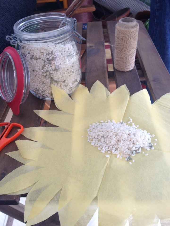 Mis nenúfares para el arroz - 3
