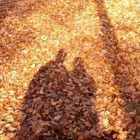 la fageda