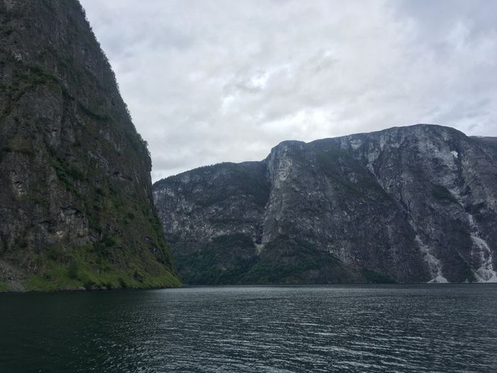 Crucero por los fiordos noruegos o por las islas griegas! - 7