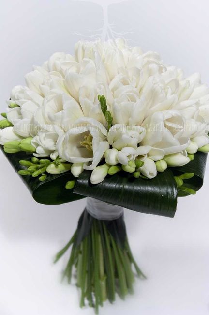 Ramo blanco