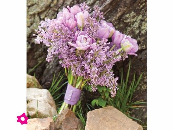 Ramo lavanda flores