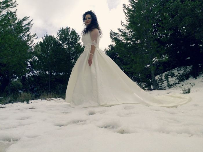 Novias de corte princesa - 1