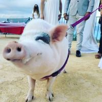 Mi boda en Albir - 3
