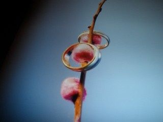 MI ANILLOS