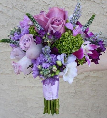 Lavanda 
