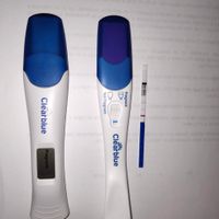 Tests