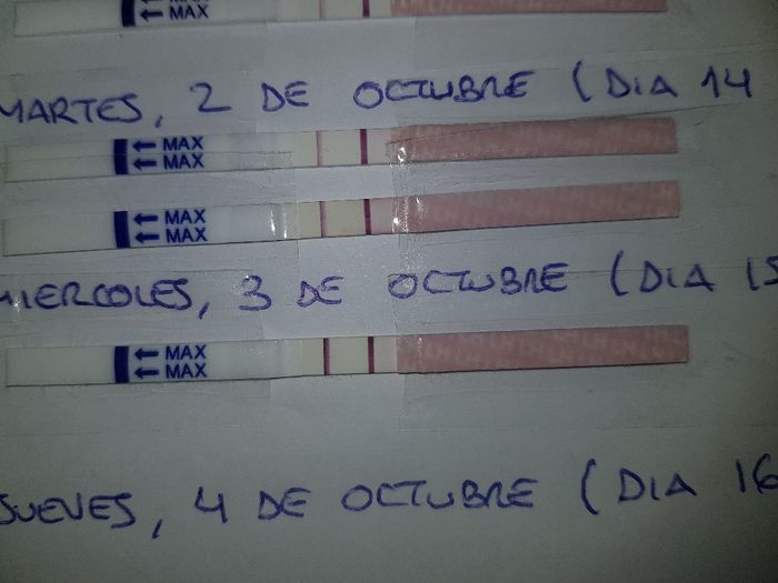 Buscadoras de octubre 2018!! - 3