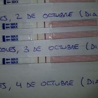 Buscadoras de octubre 2018!! - 3