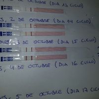 Buscadoras de octubre 2018!! - 1