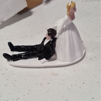 Sos no encuentro a mi novio calvo - 1