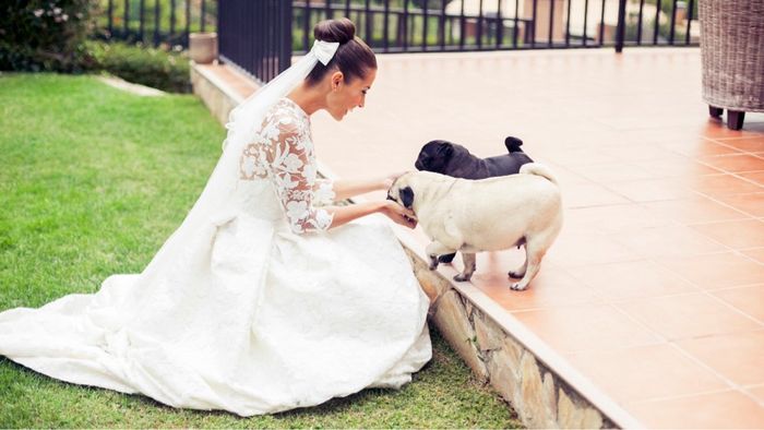 6 meses de mi boda - 2