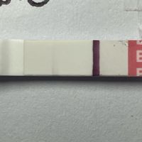 Buscadoras diciembre 2023 - 1