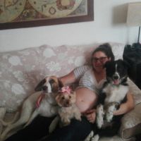 Bebés y mascotas - 1