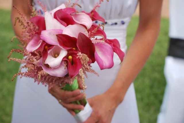 calas rosas