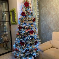 ¿Soléis decorar vuestra casa con adornos navideños? - 1