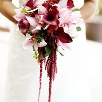 rojo y rosa